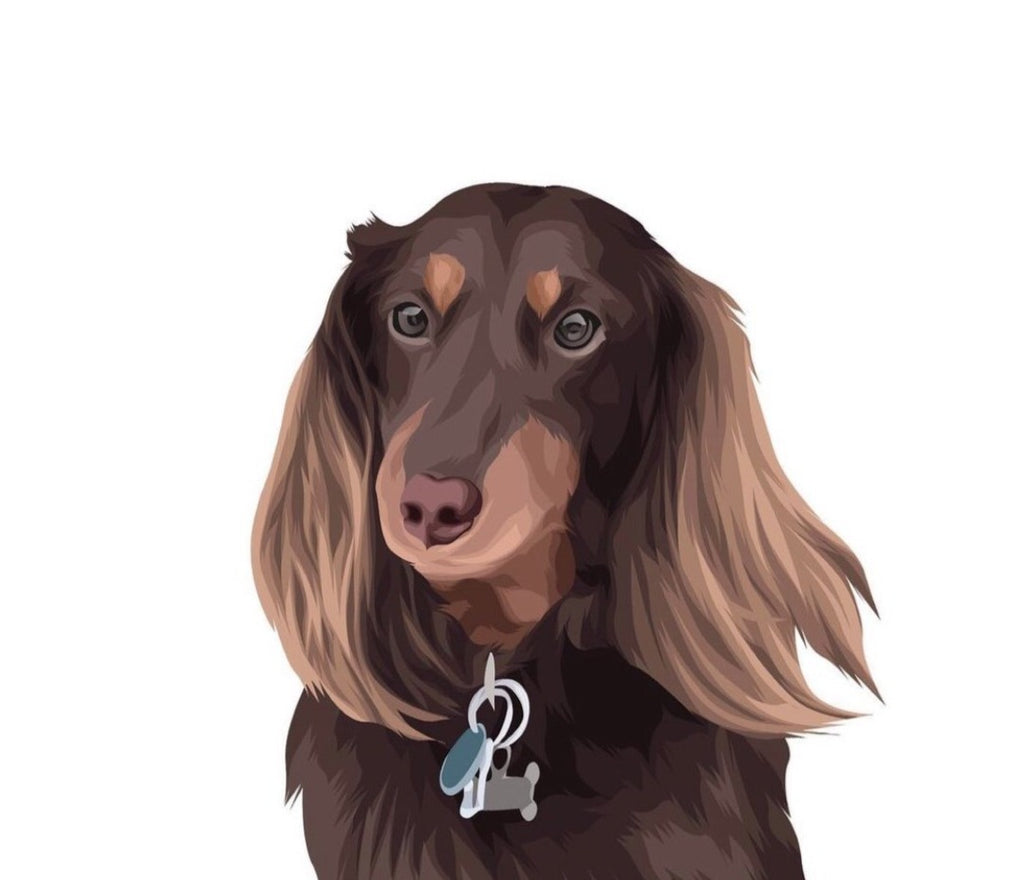 Custom hand drawn pet portrait of dog